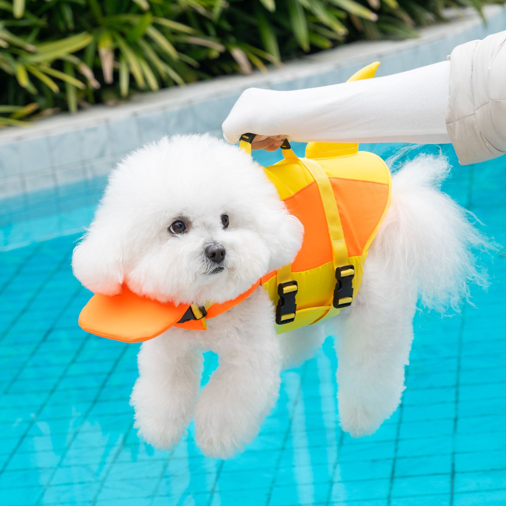 Life Jacket Buoyancy - Cute Shark Dog Life Jacket with