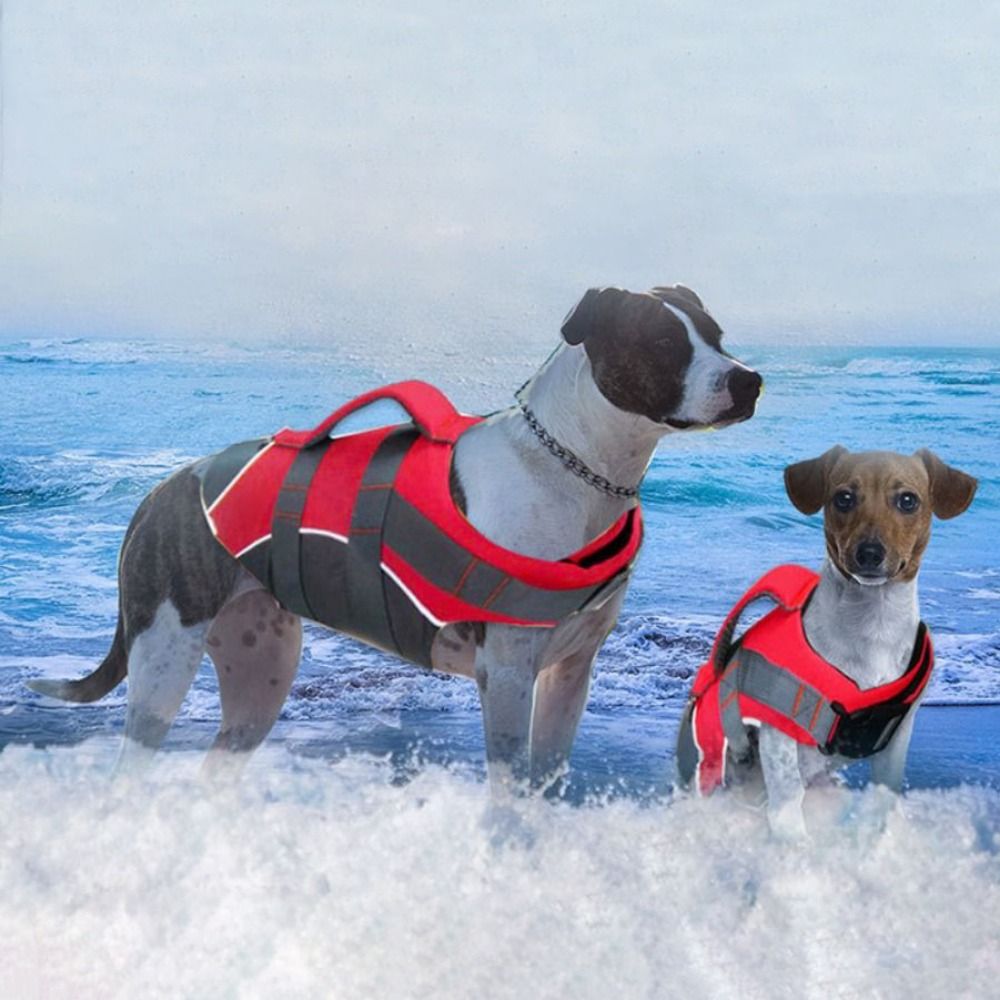 Reflective Dog Life Jacket Bre - Life Jacket Buoyancy avaliação e preço