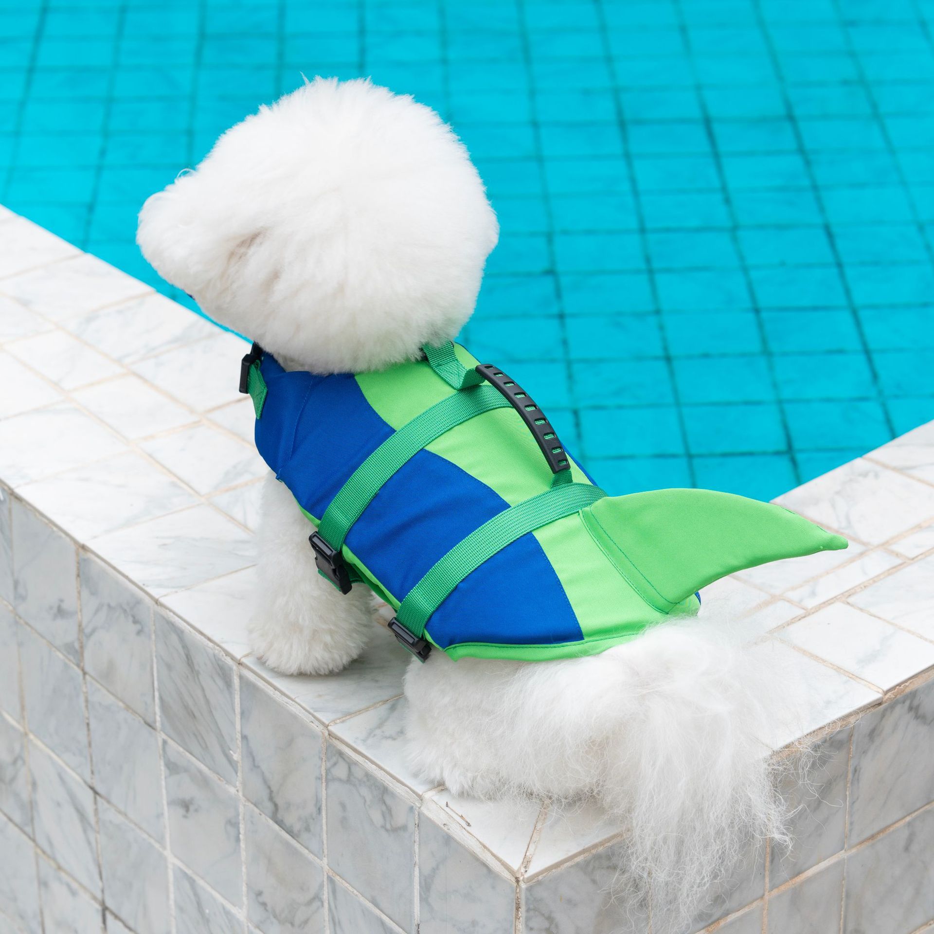Cute Shark Dog Life Jacket wit - Life Jacket Buoyancy avaliação e preço