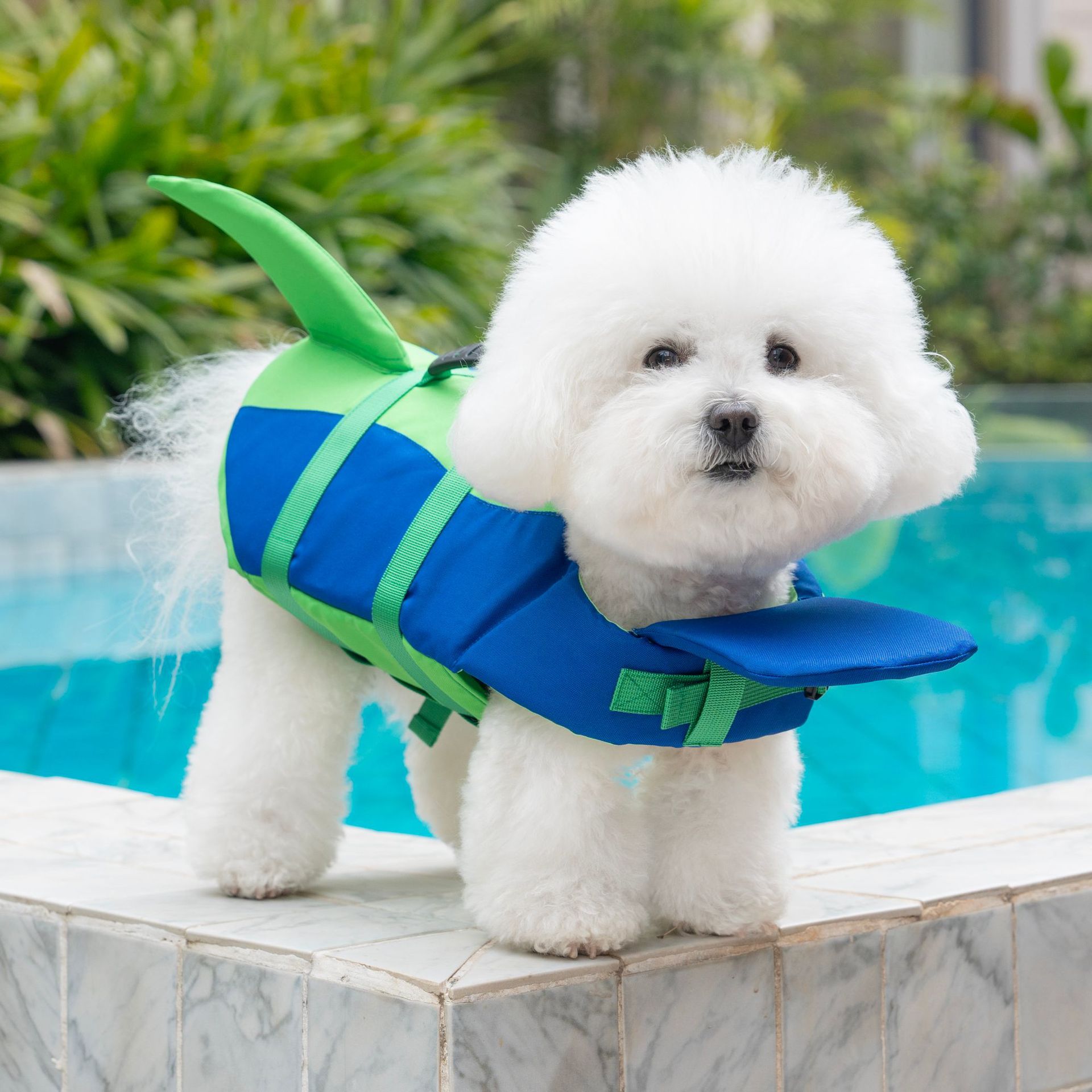 Cute Shark Dog Life Jacket wit - Life Jacket Buoyancy avaliação e preço