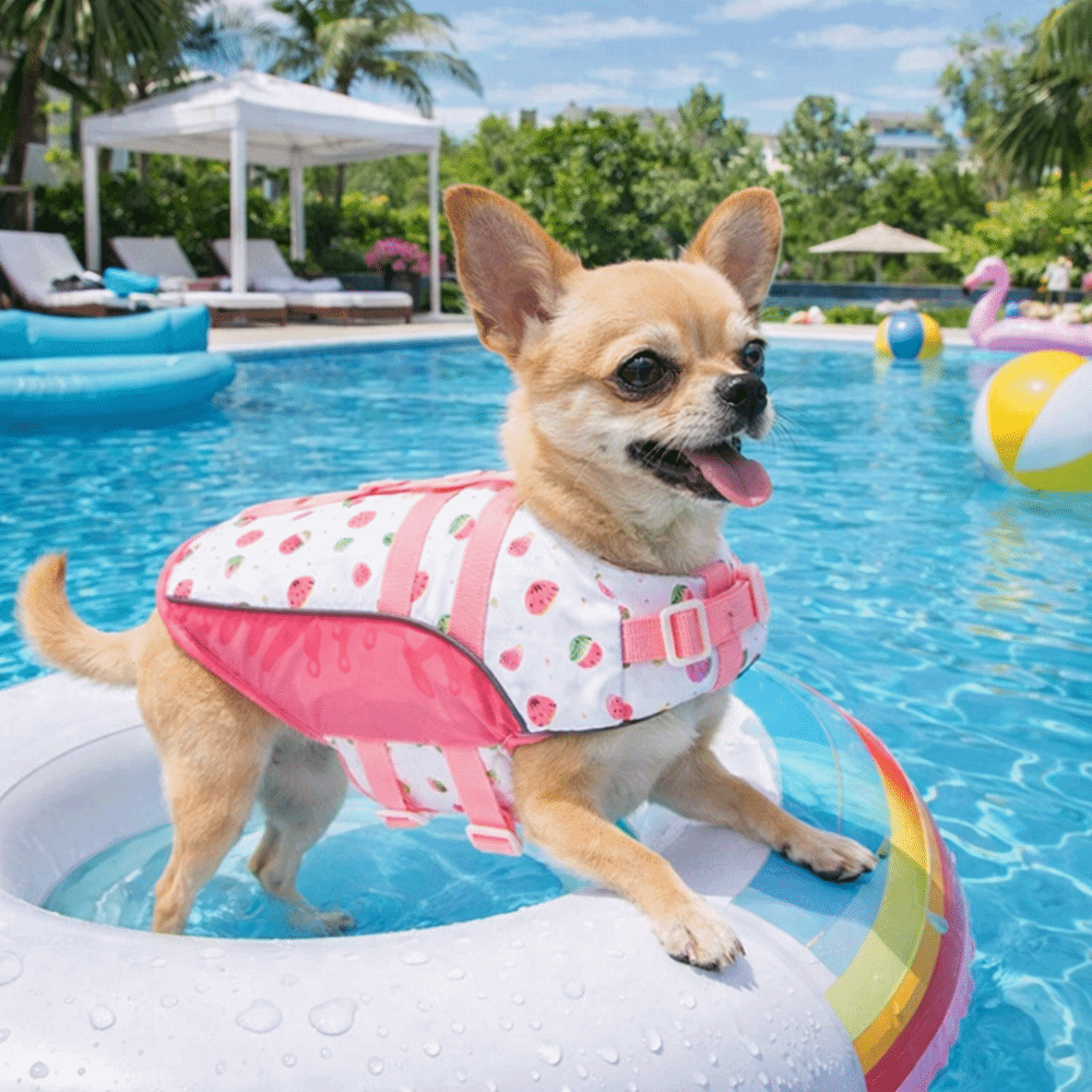 Adjustable Dog Life Jacket Hig - Life Jacket Buoyancy avaliação e preço