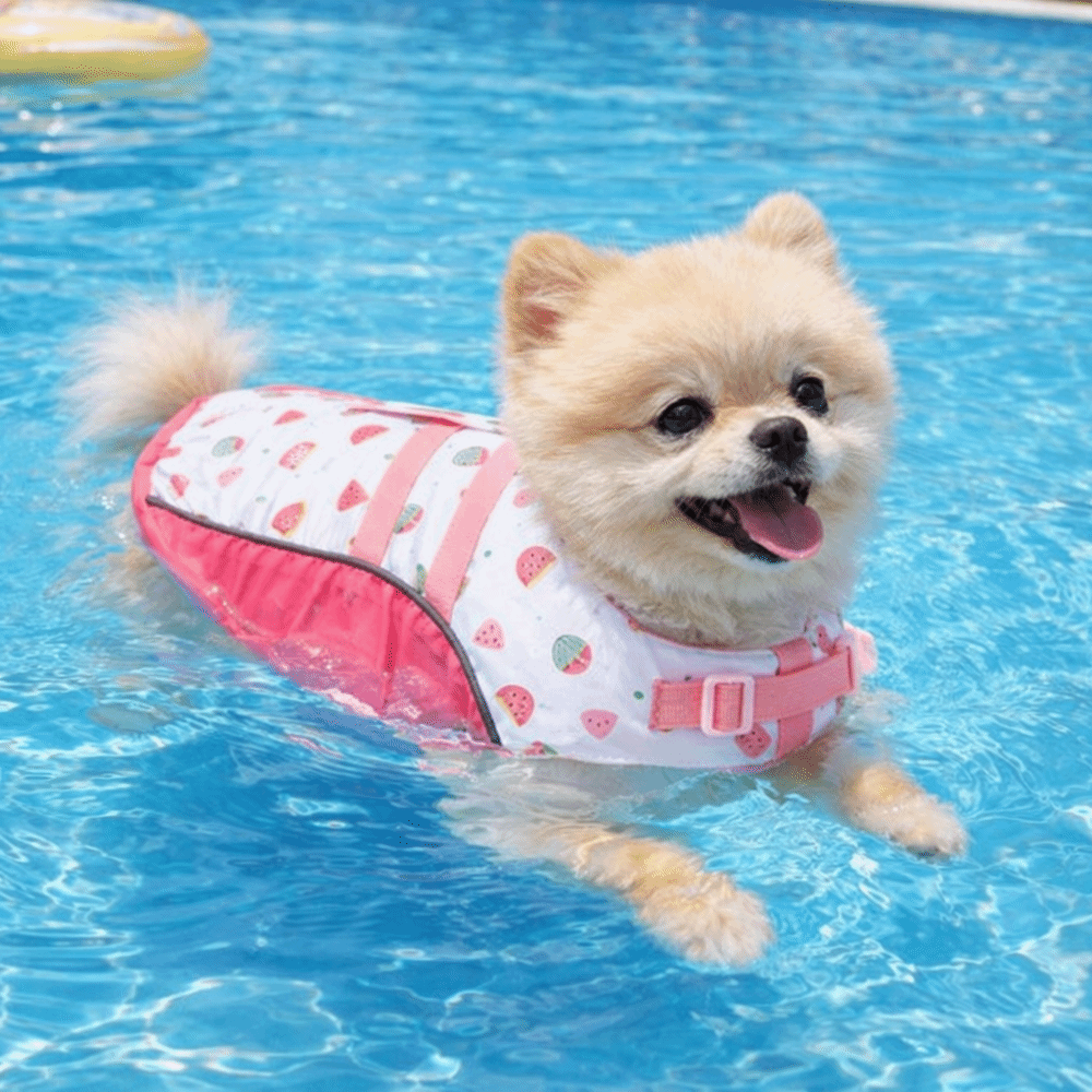 Adjustable Dog Life Jacket Hig - Life Jacket Buoyancy avaliação e preço
